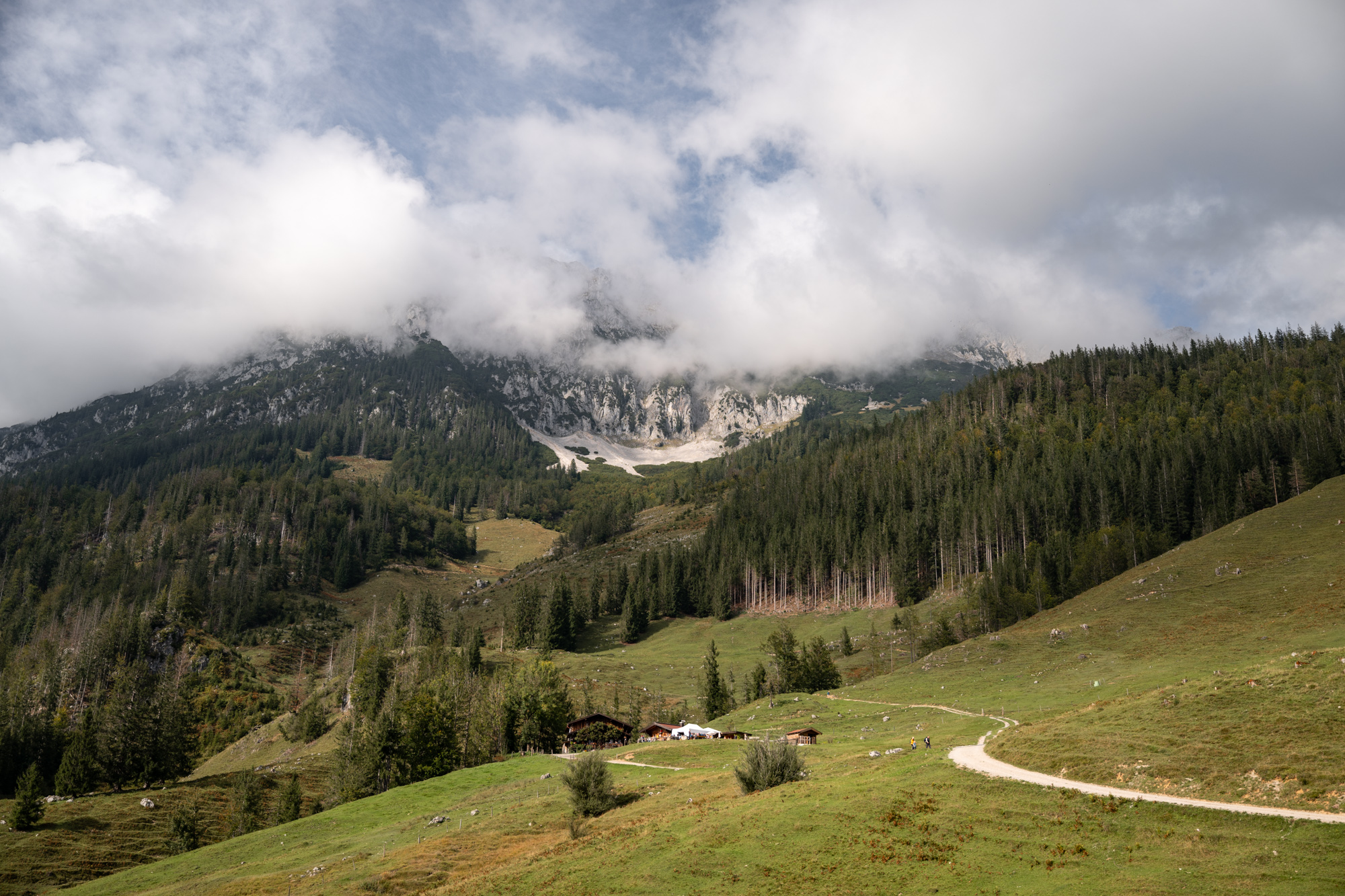 Hiking the Rehbach Gorge in Tyrol ^ Family Trail to Hinterschießling Alm, Wilder Kaiser
