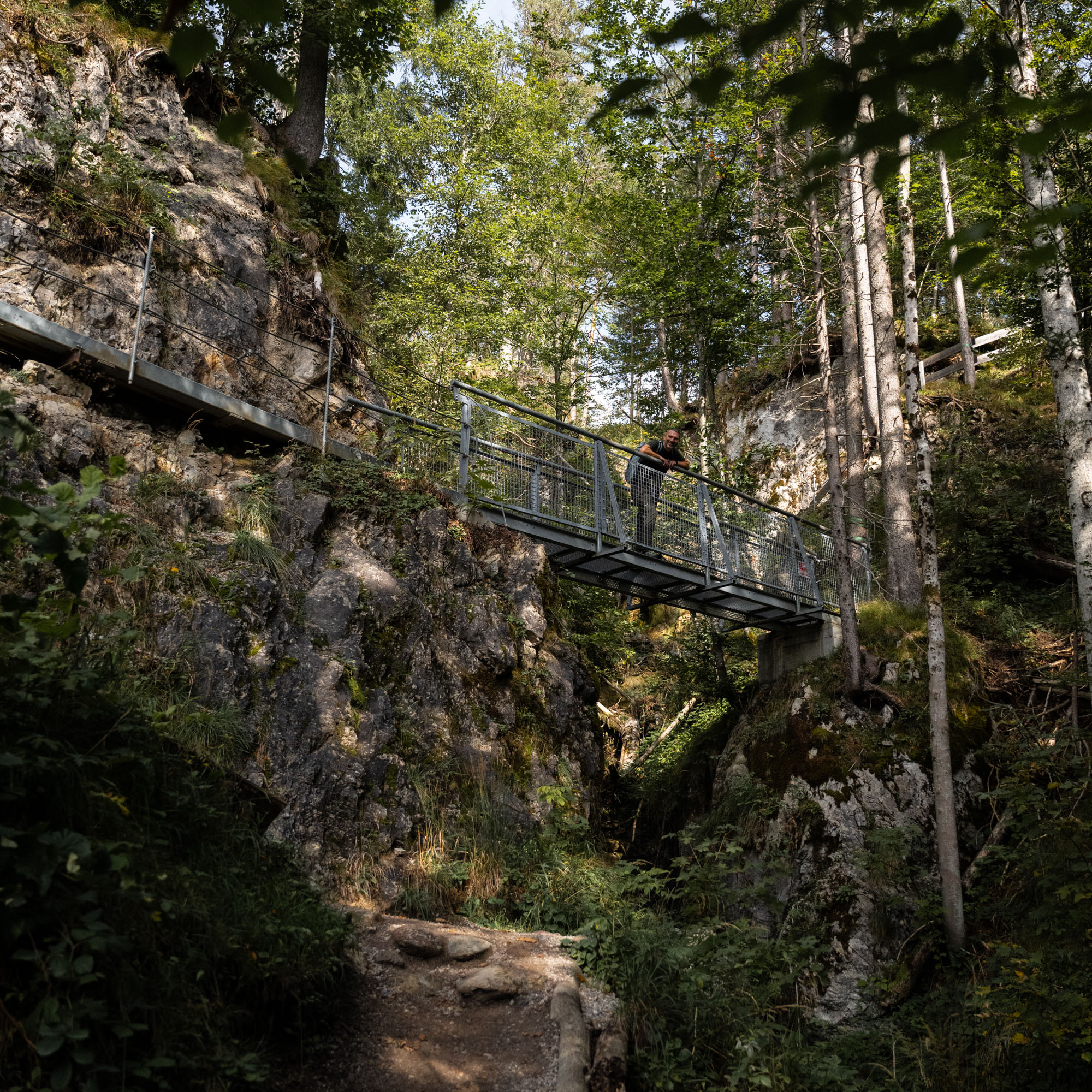 Es gibt Wanderungen, die haben einfach ein bisschen von allem: mystische Wälder, plätschernde Bäche, kleine Abenteuer am Wegesrand – und eine gemütliche Alm, die am Ende lockt. Genau so eine Tour ist der Weg durch die Rehbachklamm hinauf zur Hinterschießl