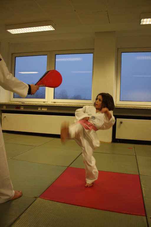 Taekwondo Stade - Prüfung 04.März 2011 - Sportschule Jan Springer