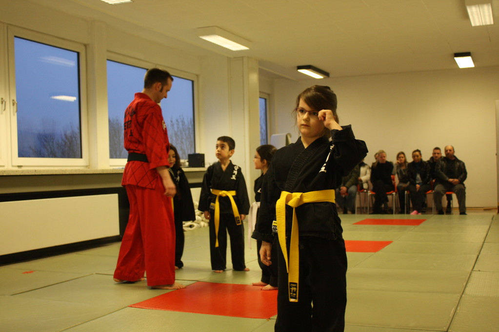 Tiger Kid´s Hapkido Stade - Prüfung 04.März 2011 - Sportschule Jan Springer