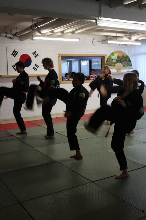 Kuksool Hapkido - Prüfung 5.Juni 2009 - Sportschule Jan Springer