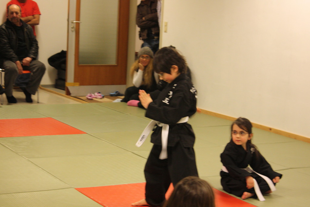 Tiger Kid´s Hapkido Stade - Prüfung 04.März 2011 - Sportschule Jan Springer