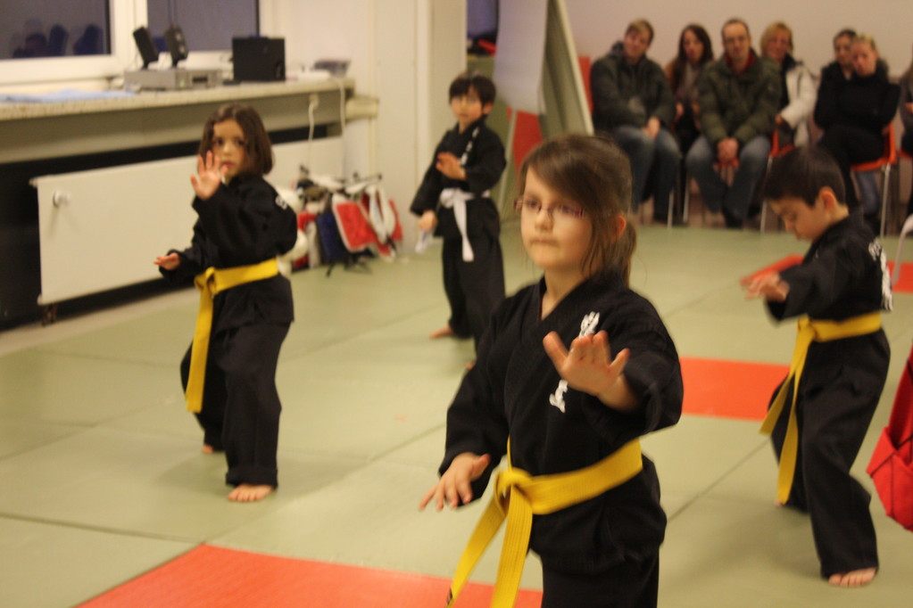 Tiger Kid´s Hapkido Stade - Prüfung 04.März 2011 - Sportschule Jan Springer