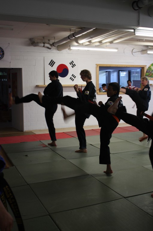 Kuksool Hapkido - Prüfung 5.Juni 2009 - Sportschule Jan Springer