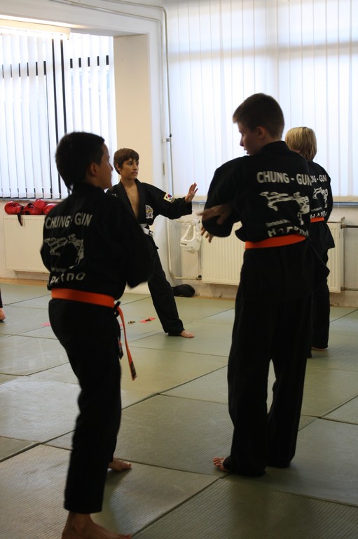 Kuksool Hapkido - Prüfung 5.Juni 2009 - Sportschule Jan Springer