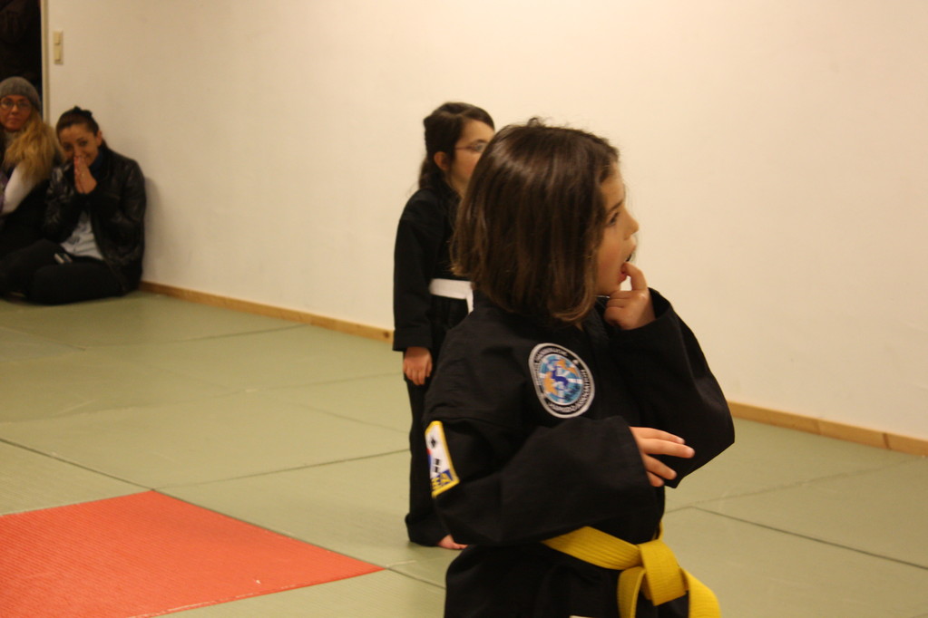 Tiger Kid´s Hapkido Stade - Prüfung 04.März 2011 - Sportschule Jan Springer