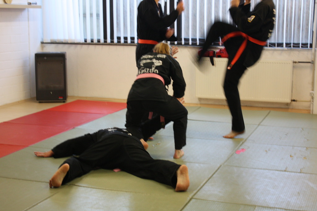 Kuksool Hapkido - Prüfung 5.Juni 2009 - Sportschule Jan Springer