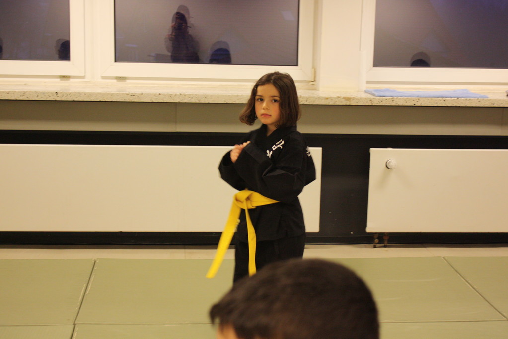 Tiger Kid´s Hapkido Stade - Prüfung 04.März 2011 - Sportschule Jan Springer