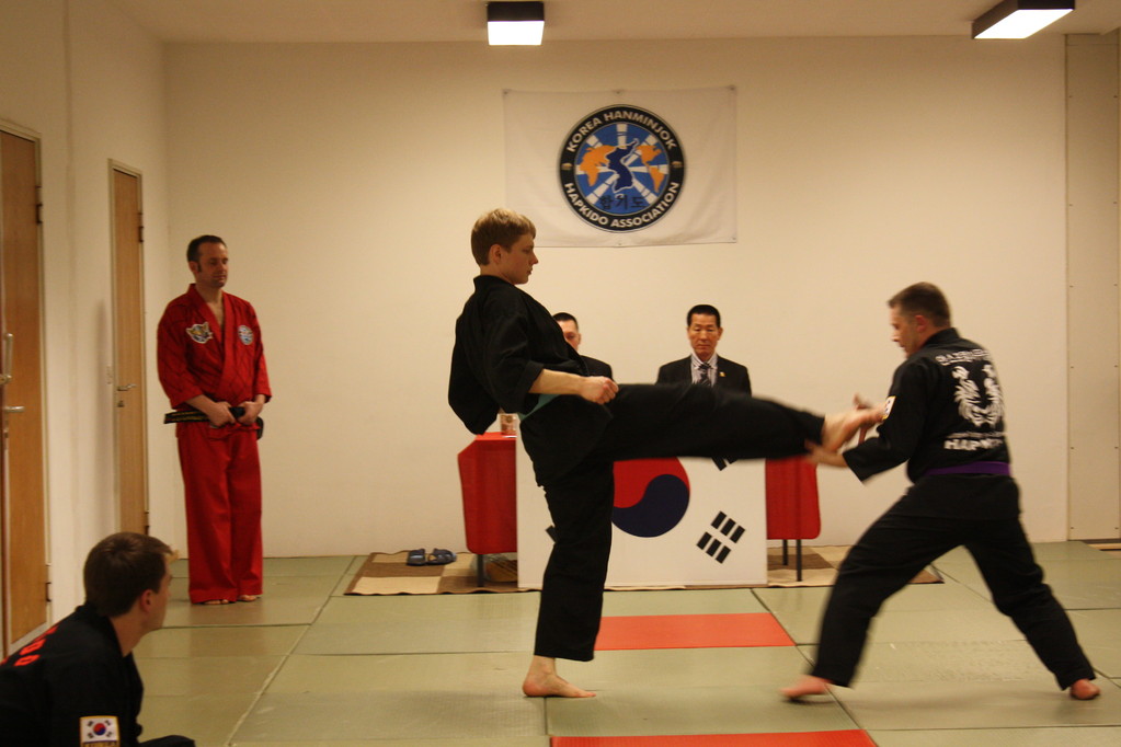 Kuksool Hapkido - Prüfung 04.März 2011 -Sportschule Jan Springer