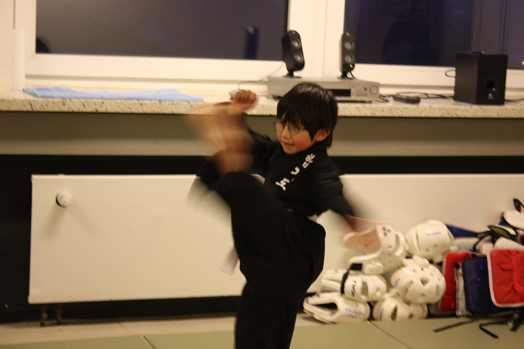 Tiger Kid´s Hapkido Stade - Prüfung 04.März 2011 - Sportschule Jan Springer