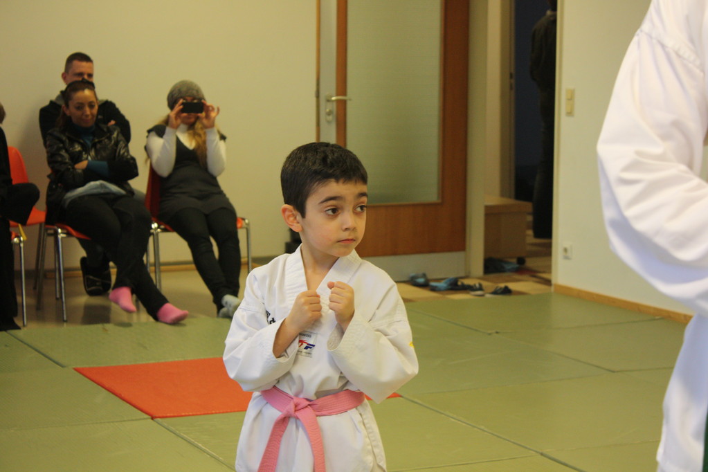 Taekwondo Stade - Prüfung 04.März 2011 - Sportschule Jan Springer