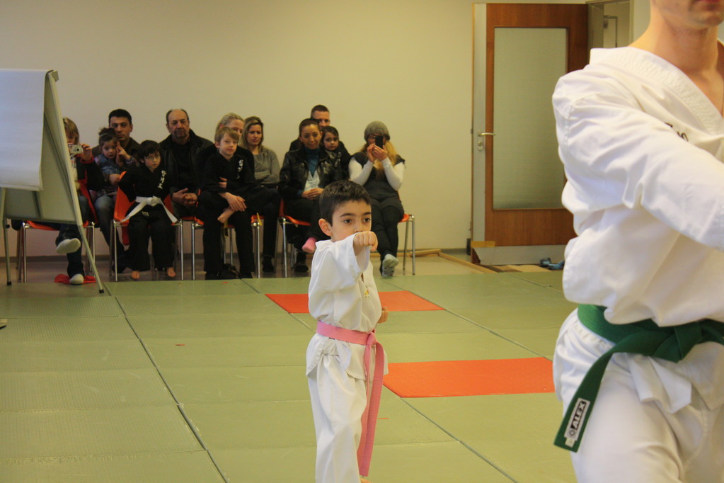 Taekwondo Stade - Prüfung 04.März 2011 - Sportschule Jan Springer