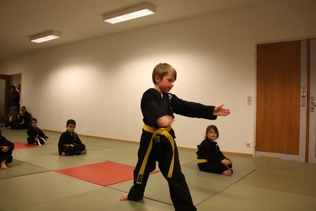 Tiger Kid´s Hapkido Stade - Prüfung 04.März 2011 - Sportschule Jan Springer