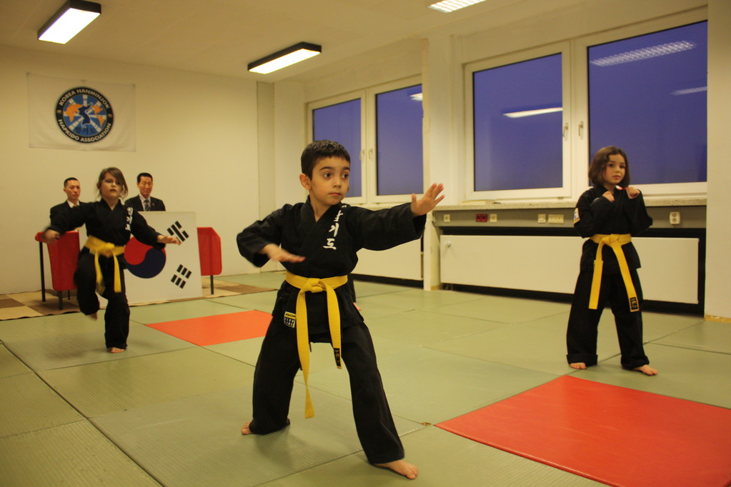 Tiger Kid´s Hapkido Stade - Prüfung 04.März 2011 - Sportschule Jan Springer