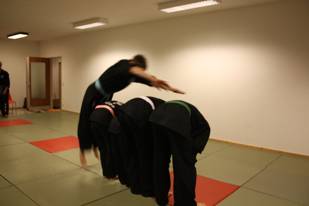 Kuksool Hapkido - Prüfung 04.März 2011 -Sportschule Jan Springer