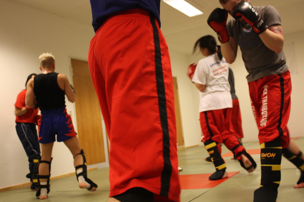 Kick-Thaiboxen, Sportschule Jan Springer