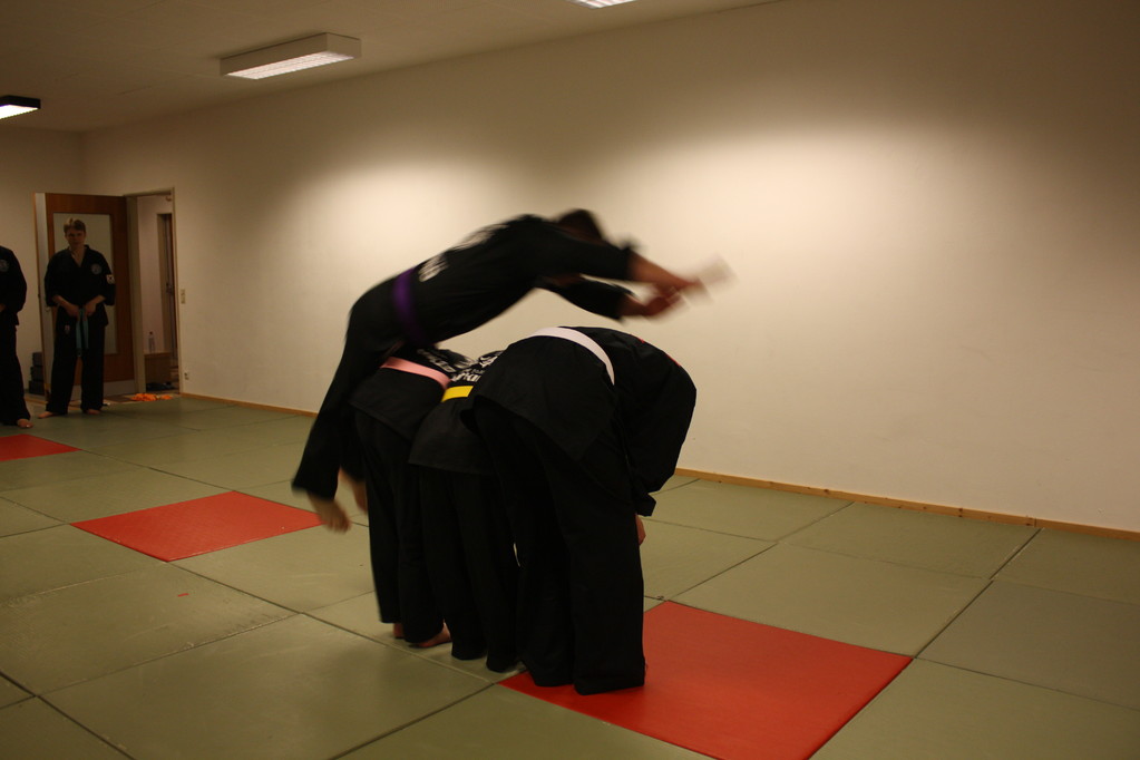 Kuksool Hapkido - Prüfung 04.März 2011 -Sportschule Jan Springer