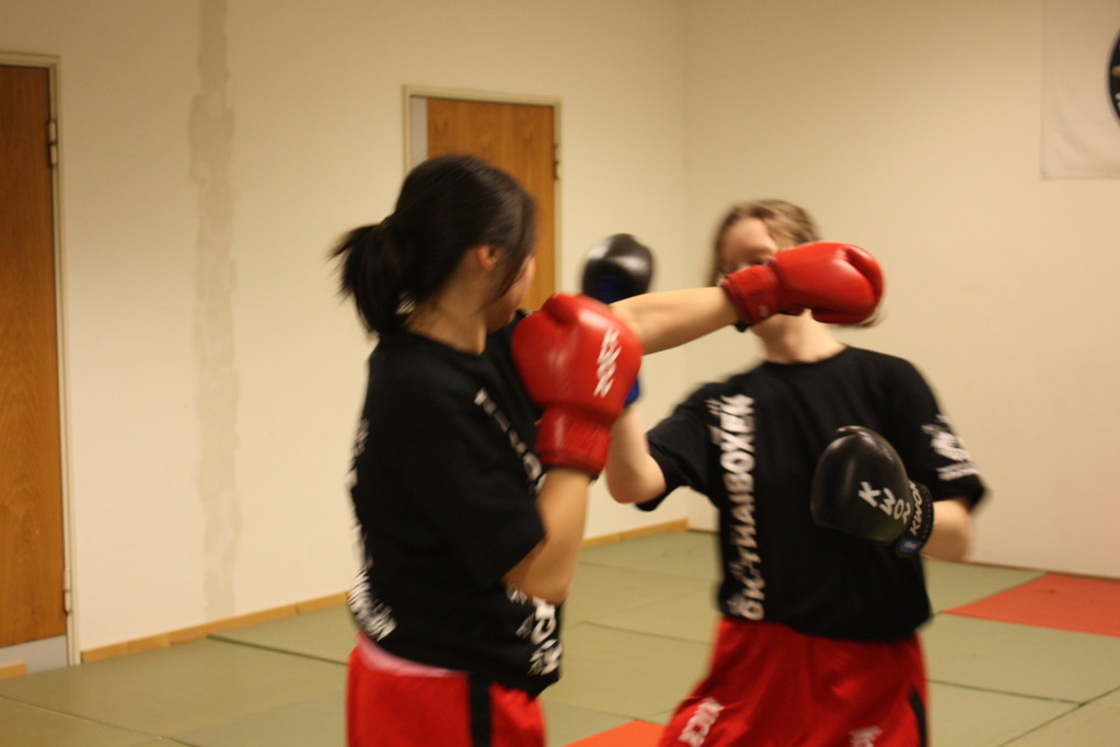 Kick-Thaiboxen, Sportschule Jan Springer