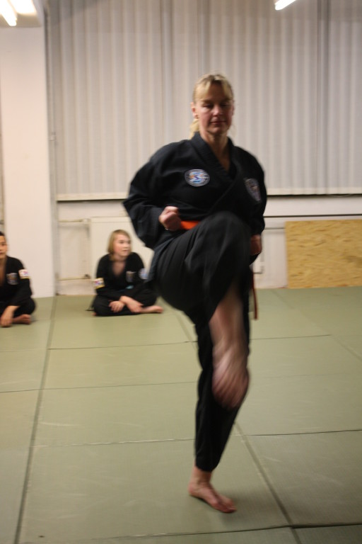 Kuksool Hapkido - Prüfung 4.Dezember 2009 - Sportschule Jan Springer