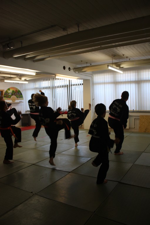 Kuksool Hapkido - Prüfung 5.Juni 2009 - Sportschule Jan Springer