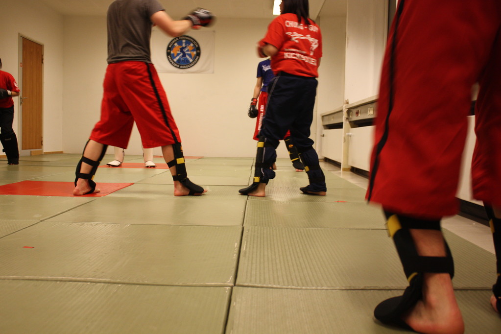 Kick-Thaiboxen, Sportschule Jan Springer