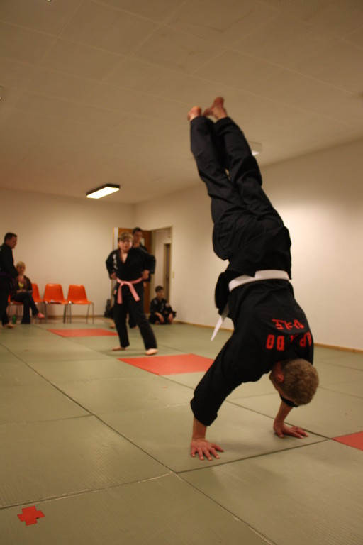 Kuksool Hapkido - Prüfung 04.März 2011 -Sportschule Jan Springer