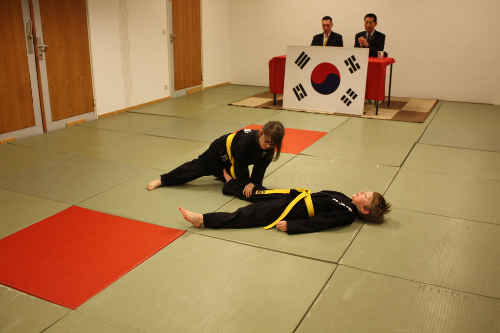 Tiger Kid´s Hapkido Stade - Prüfung 04.März 2011 - Sportschule Jan Springer