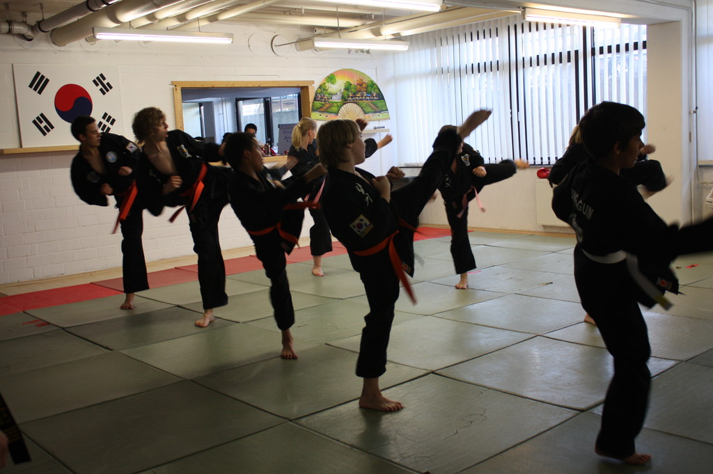 Kuksool Hapkido - Prüfung 5.Juni 2009 - Sportschule Jan Springer