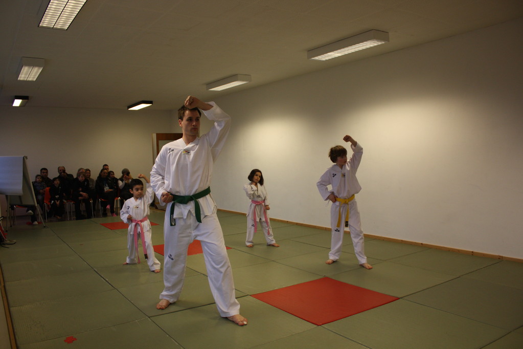 Taekwondo Stade - Prüfung 04.März 2011 - Sportschule Jan Springer