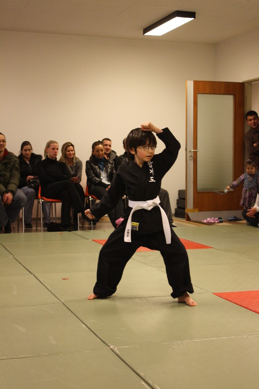 Tiger Kid´s Hapkido Stade - Prüfung 04.März 2011 - Sportschule Jan Springer