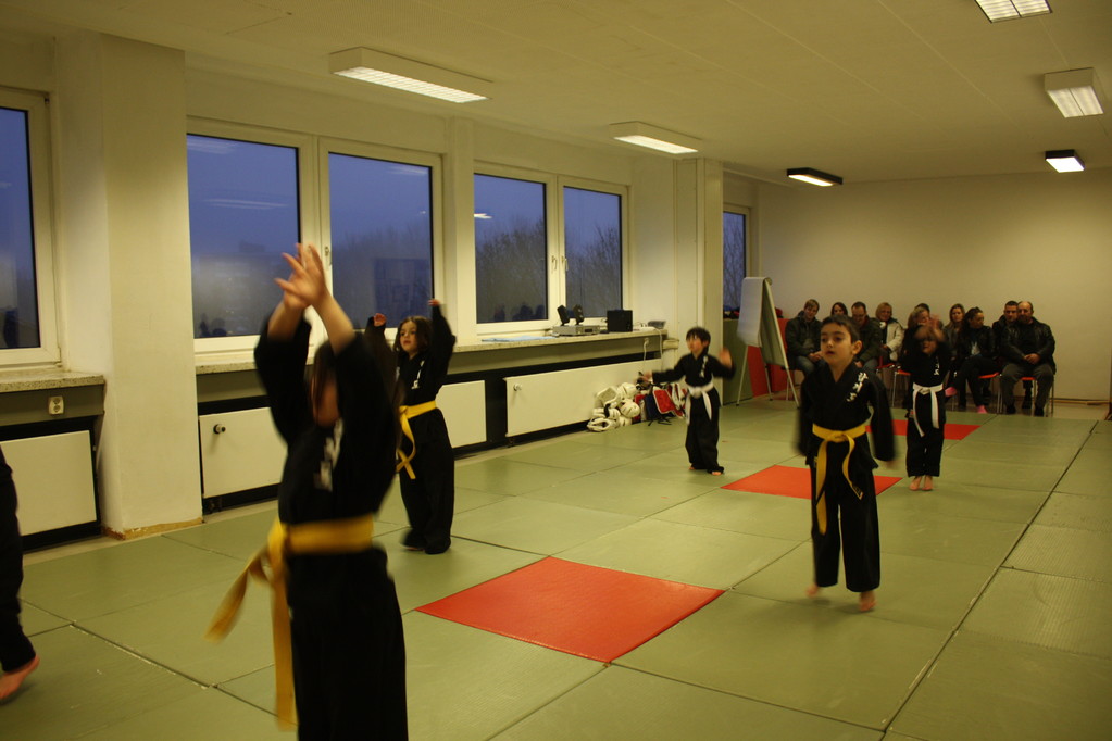 Tiger Kid´s Hapkido Stade - Prüfung 04.März 2011 - Sportschule Jan Springer