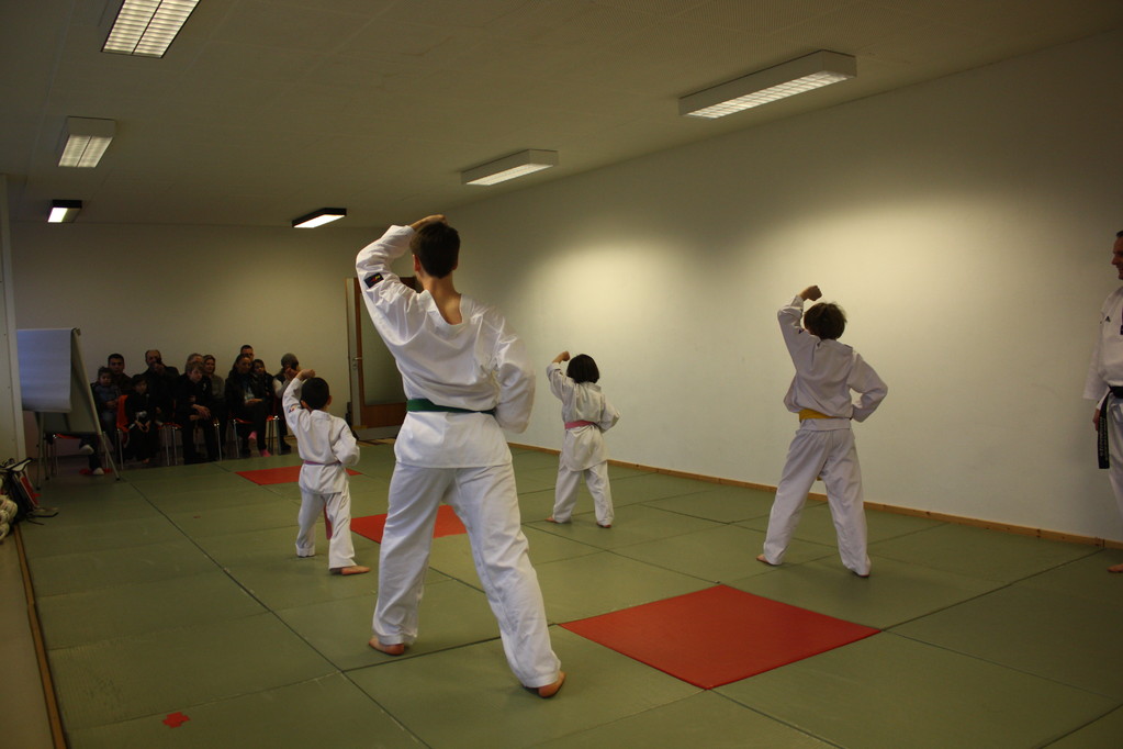 Taekwondo Stade - Prüfung 04.März 2011 - Sportschule Jan Springer