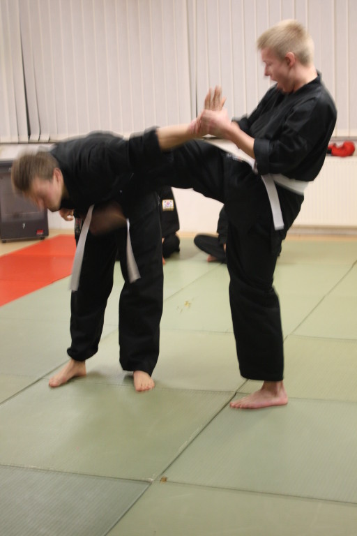 Kuksool Hapkido - Prüfung 4.Dezember 2009 - Sportschule Jan Springer