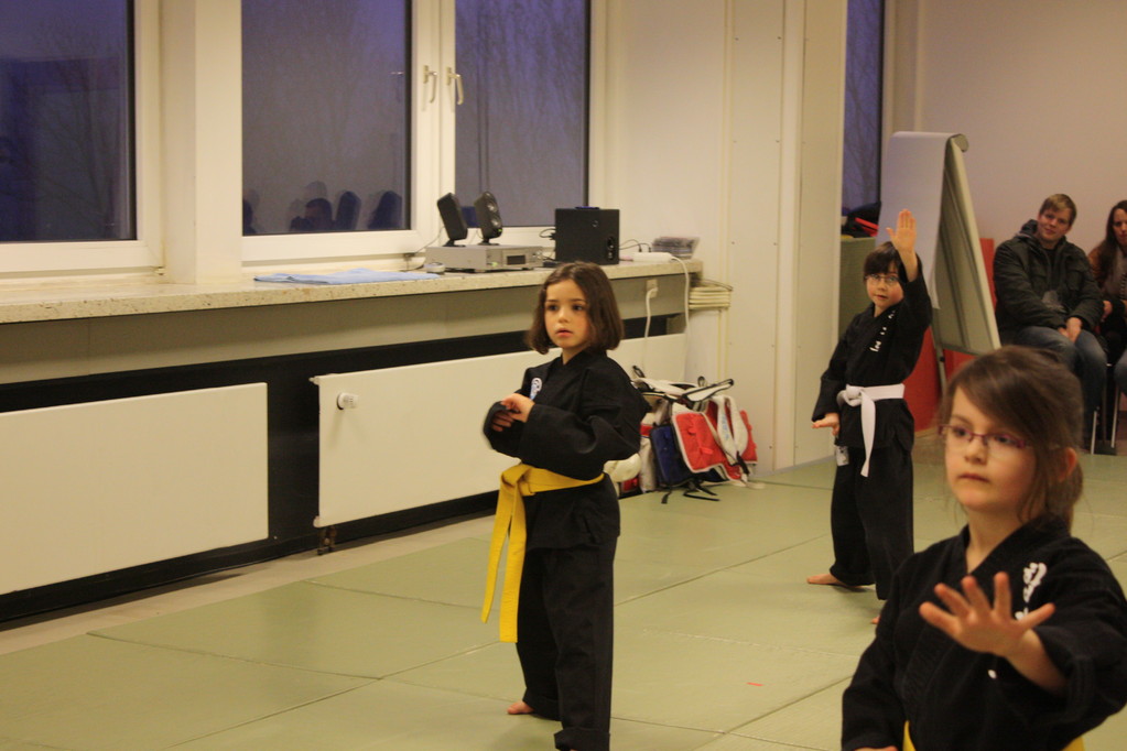 Tiger Kid´s Hapkido Stade - Prüfung 04.März 2011 - Sportschule Jan Springer