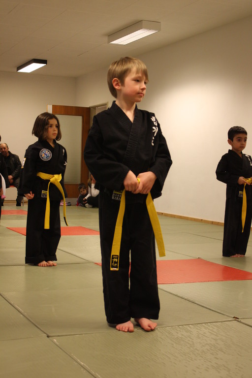 Tiger Kid´s Hapkido Stade - Prüfung 04.März 2011 - Sportschule Jan Springer