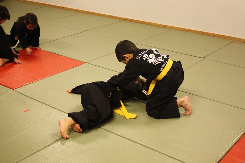 Tiger Kid´s Hapkido Stade - Prüfung 04.März 2011 - Sportschule Jan Springer