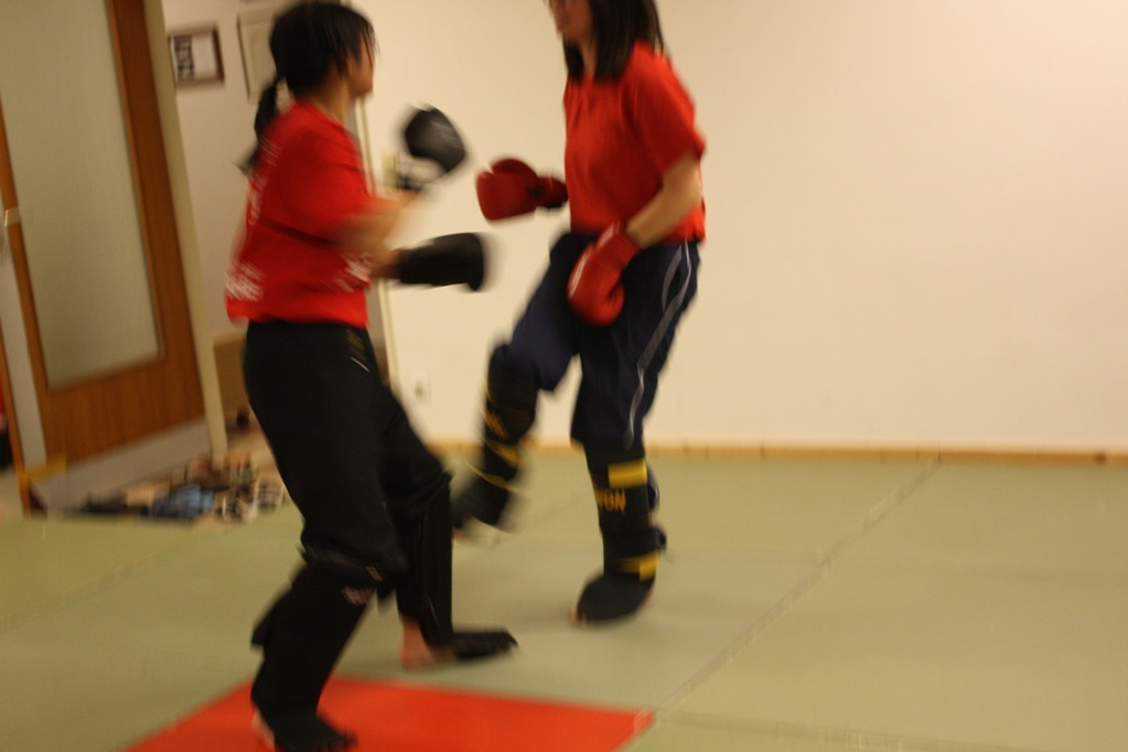 Kick-Thaiboxen, Sportschule Jan Springer