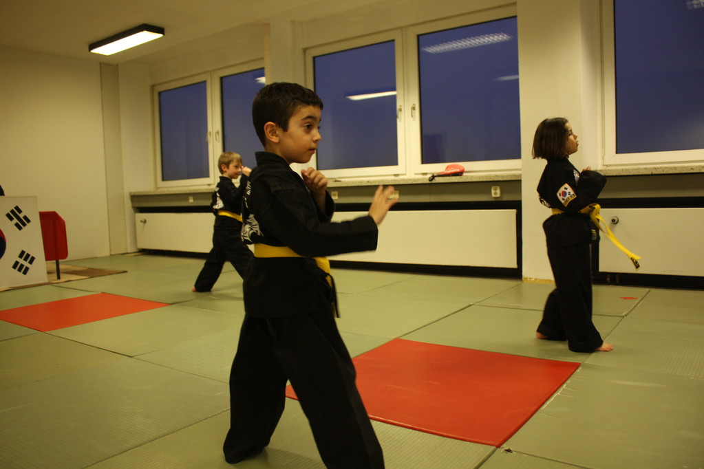 Tiger Kid´s Hapkido Stade - Prüfung 04.März 2011 - Sportschule Jan Springer