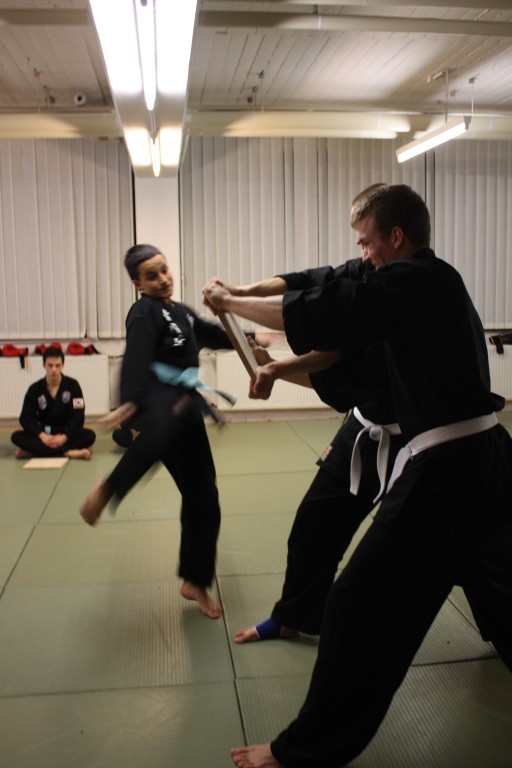 Kuksool Hapkido - Prüfung 4.Dezember 2009 - Sportschule Jan Springer