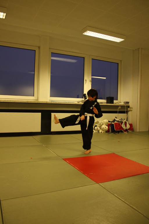 Tiger Kid´s Hapkido Stade - Prüfung 04.März 2011 - Sportschule Jan Springer