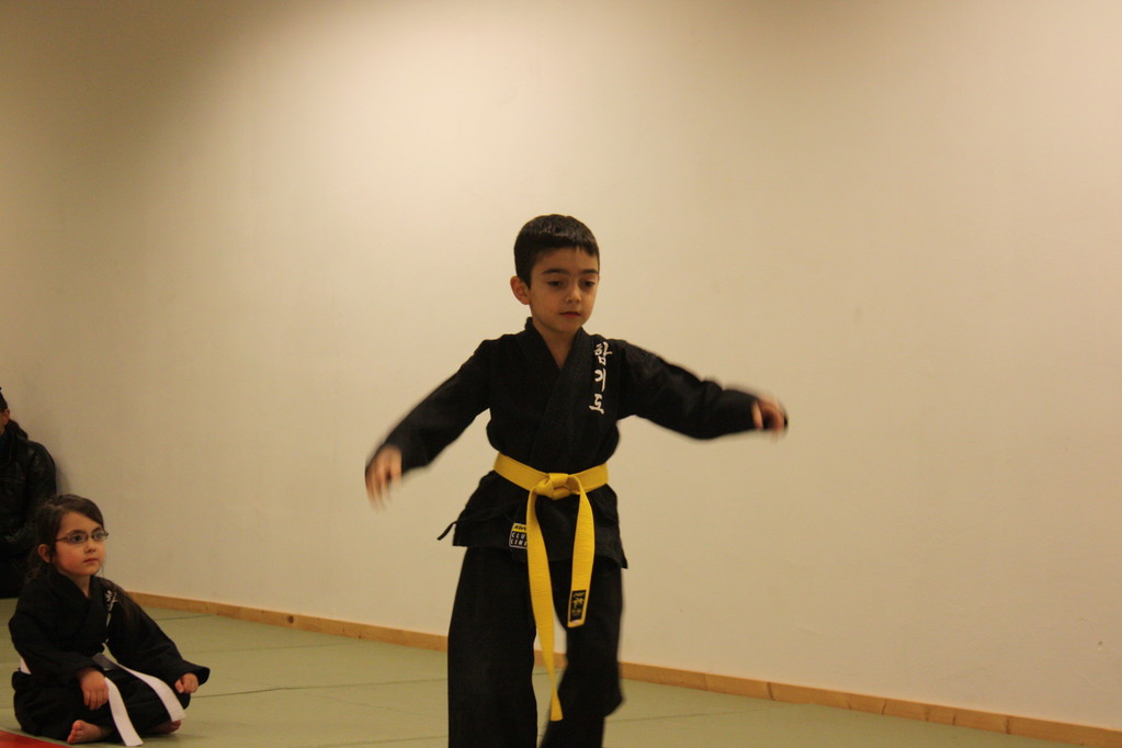 Tiger Kid´s Hapkido Stade - Prüfung 04.März 2011 - Sportschule Jan Springer