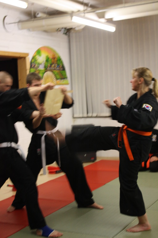 Kuksool Hapkido - Prüfung 4.Dezember 2009 - Sportschule Jan Springer