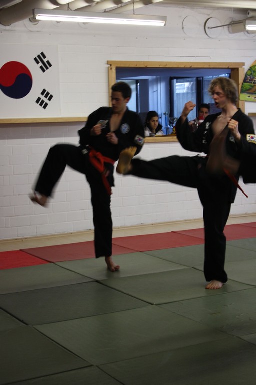 Kuksool Hapkido - Prüfung 5.Juni 2009 - Sportschule Jan Springer