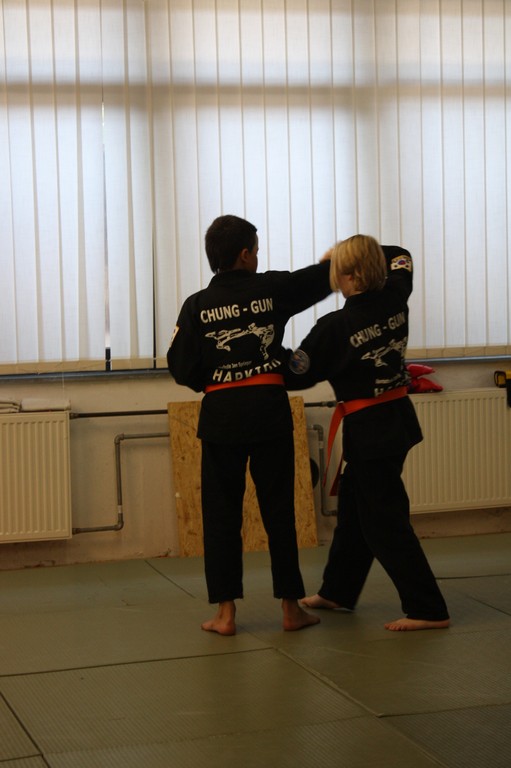 Kuksool Hapkido - Prüfung 5.Juni 2009 - Sportschule Jan Springer