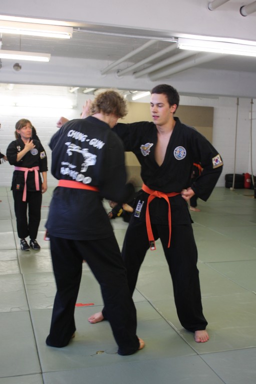 Kuksool Hapkido - Prüfung 5.Juni 2009 - Sportschule Jan Springer