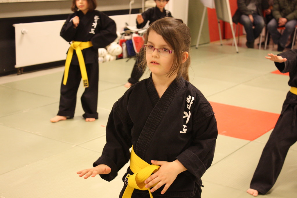 Tiger Kid´s Hapkido Stade - Prüfung 04.März 2011 - Sportschule Jan Springer