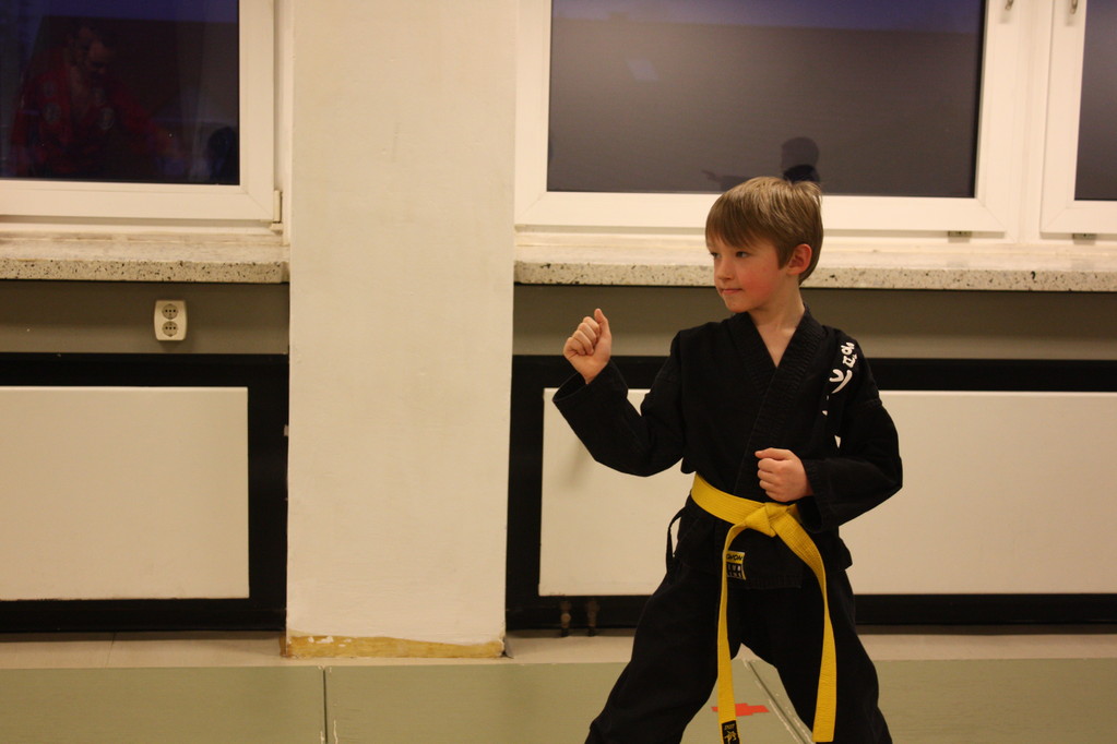 Tiger Kid´s Hapkido Stade - Prüfung 04.März 2011 - Sportschule Jan Springer