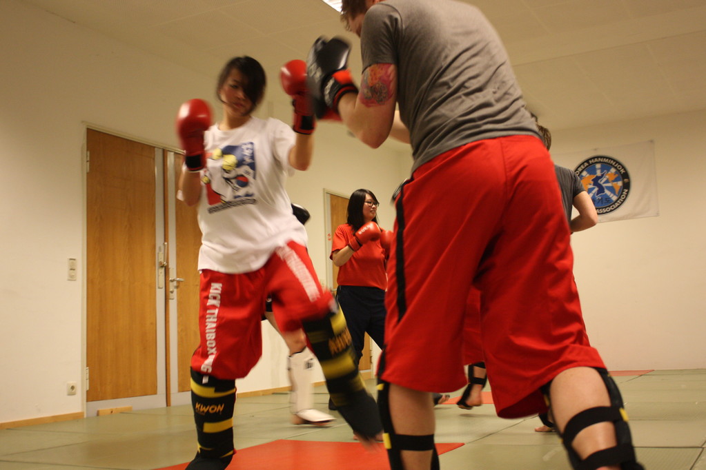 Kick-Thaiboxen, Sportschule Jan Springer