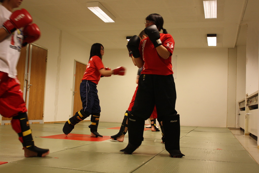 Kick-Thaiboxen, Sportschule Jan Springer