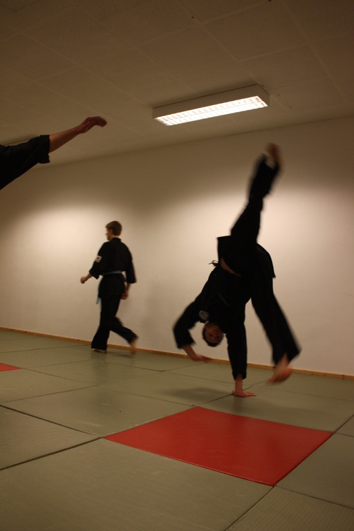 Kuksool Hapkido - Prüfung 04.März 2011 -Sportschule Jan Springer